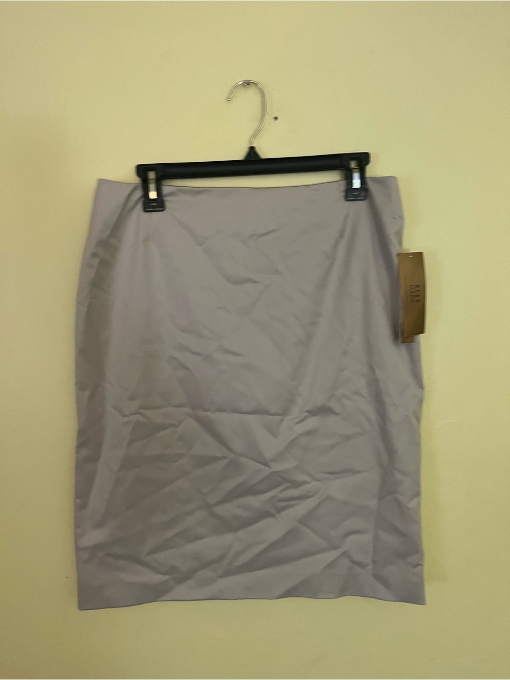 Alex Marie Beige Pencil Skirt Size 10 NWT